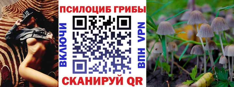 Галлюциногенные грибы Psilocybine cubensis  Неман 